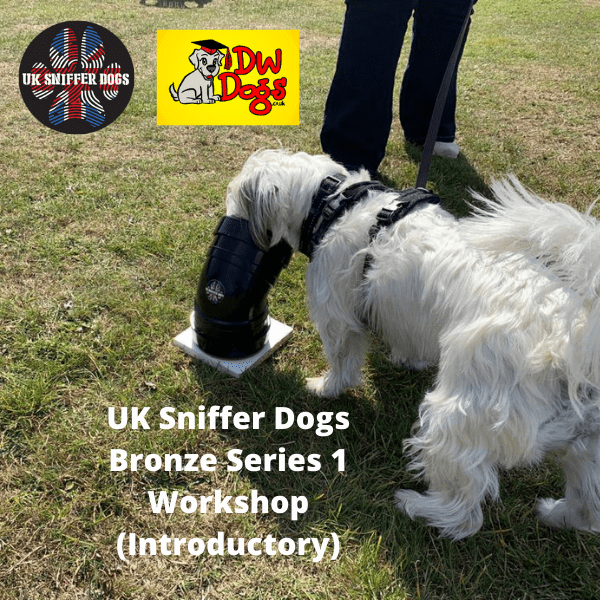 UK Sniffer Dogs Introductory Sniffer Dog Workshop