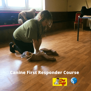 Canine First Responder Course dog CPR