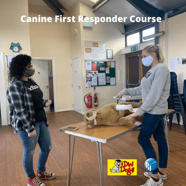 Canine First Responder Course 2 women examining model dog
