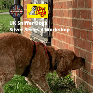 dog searching and sniffing wall UK Sniffer Dogs Silver 4 workshop